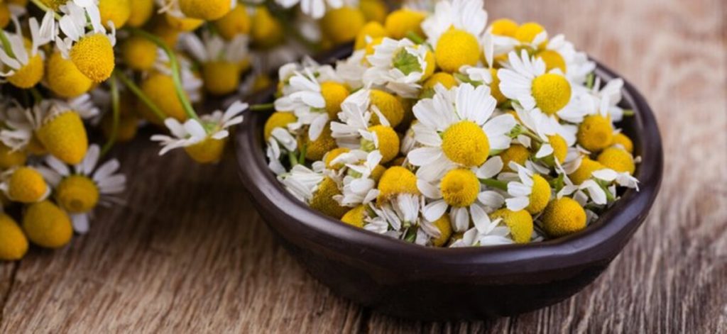 Antistaminico naturale_Camomilla
