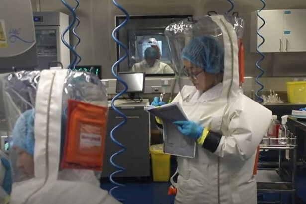 Sulle origini del Covid-19, rapporto OMS: "Esclusa la fuga del virus dai laboratori di Wuhan" 14