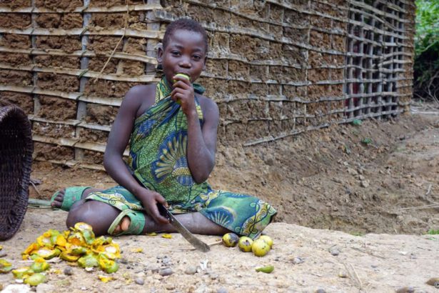 Popoli indigeni e biodiversità a rischio: la "Bugia Verde" dell'UE all'attenzione di Draghi 39