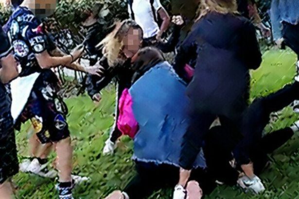 Roma, 12enne disabile picchiata e filmata: indagati 7 ragazzini. Spuntano nuove minacce 18