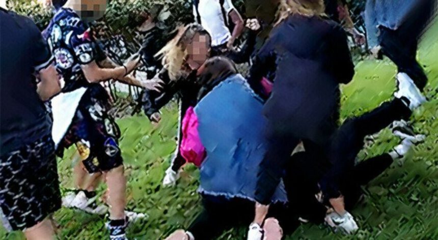 Roma, 12enne disabile picchiata e filmata: indagati 7 ragazzini. Spuntano nuove minacce 1