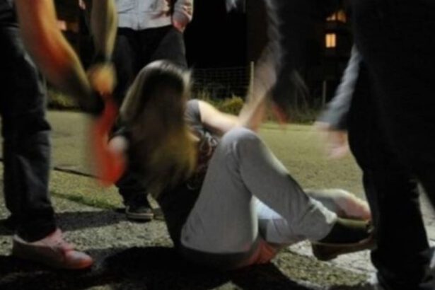 Reggio Emilia, 15enne violentata dal gruppo: arrestato compagno di classe 5