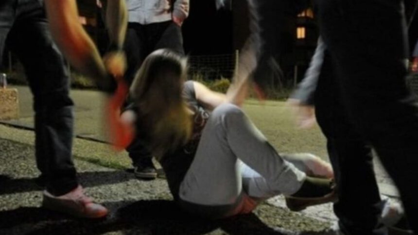 Reggio Emilia, 15enne violentata dal gruppo: arrestato compagno di classe 2 Reggio Emilia, 15enne violentata dal gruppo: arrestato compagno di classe 1