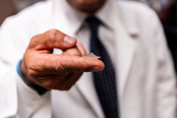 Coronavirus, vaccino pronto in autunno 15