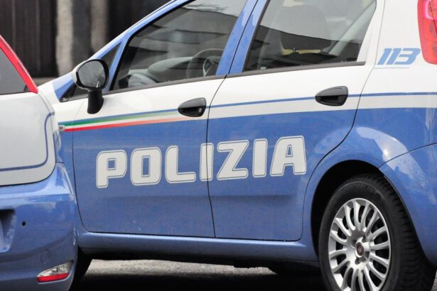 Cremona, 20enne uccide la madre in casa e fugge: ricercato dalla Polizia 9