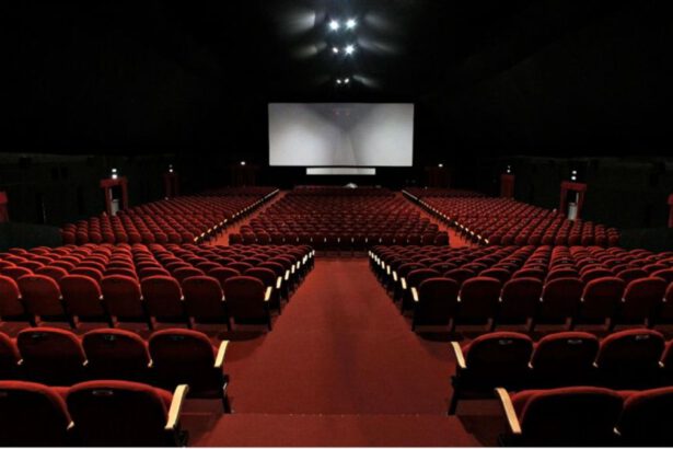 Cinema e teatri, possibile riapertura il 27 marzo, Franceschini: "Sono luoghi sicuri" 7