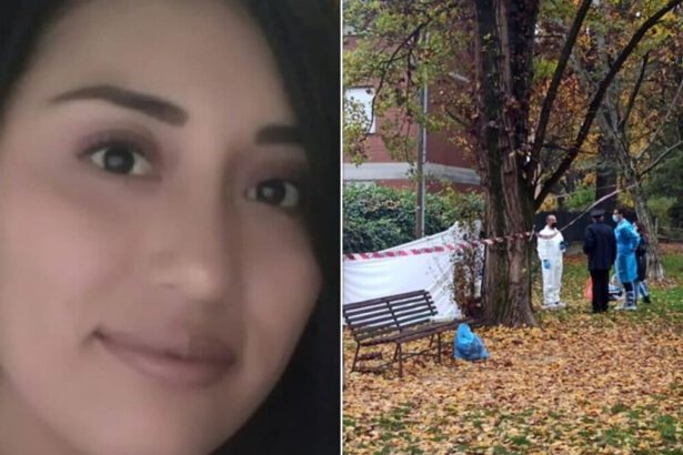 Omicidio Reggio Emilia, 34enne sgozzata in un parco: è stato l'ex compagno stalker 10