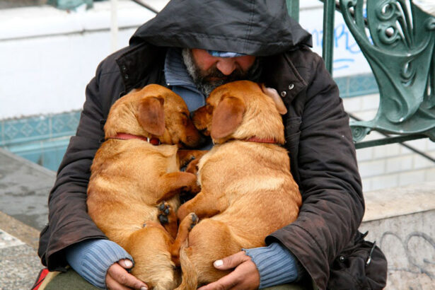 Milano, apre il centro di accoglienza per senzatetto che hanno un animale 20