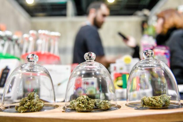 Cassazione contro Cannabis Light: ecco cosa sta succedendo 17