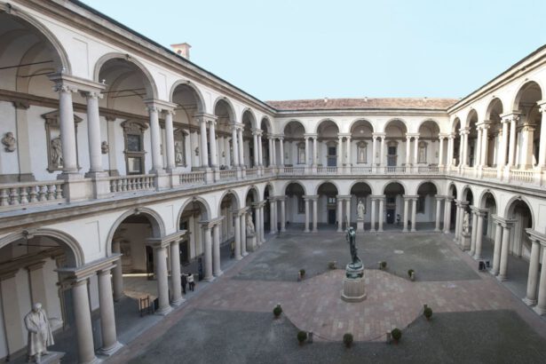 La rivoluzione della Pinacoteca di Brera nell'era post Covid: si diventa soci e il biglietto vale 3 mesi 11