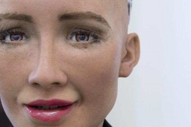 Ti presento Sophia: il robot umano, troppo umano 13