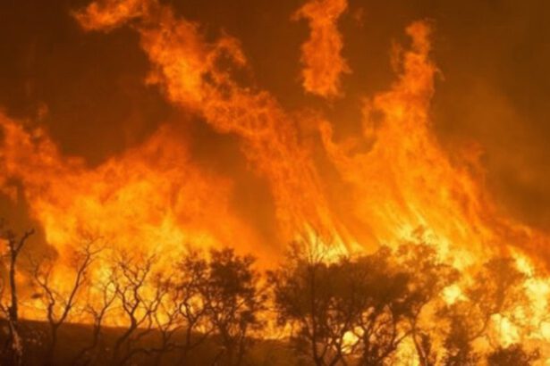 Sud America: ecco la rete delle estrazioni illegali di mercurio che stanno avveledo l'Amazzonia 18