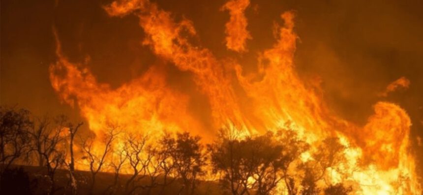 Sud America: ecco la rete delle estrazioni illegali di mercurio che stanno avveledo l'Amazzonia 1