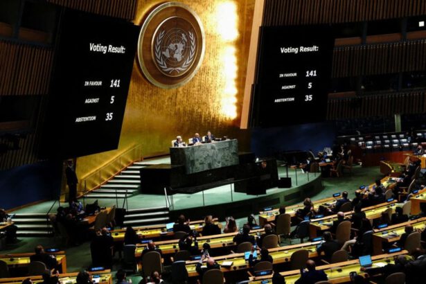 L'Assemblea Generale ONU condanna la Russia per l'invasione dell'Ucraina 14