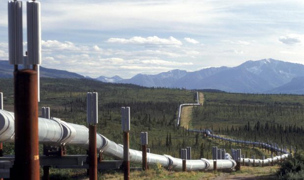 Donald Trump autorizza trivellazioni in Alaska, all’interno di un parco protetto 4 Donald Trump autorizza trivellazioni in Alaska, all’interno di un parco protetto 3