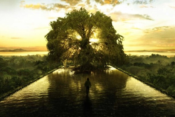 L'albero della vita, un simbolo di rinascita e pace 8