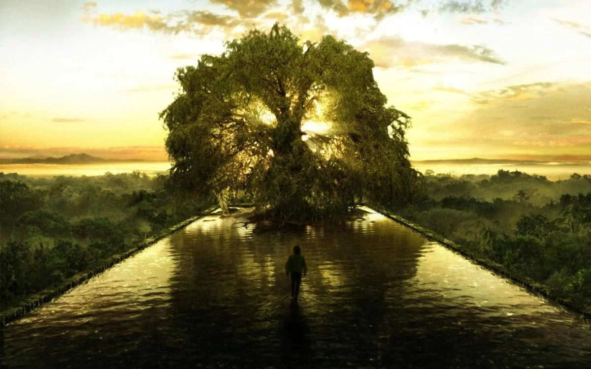 L'albero della vita, un simbolo di rinascita e pace 19