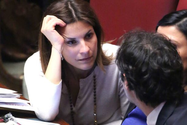 Alessandra Moretti, bomba carta esplode sotto casa dell'eurodeputata: indagini in corso 10