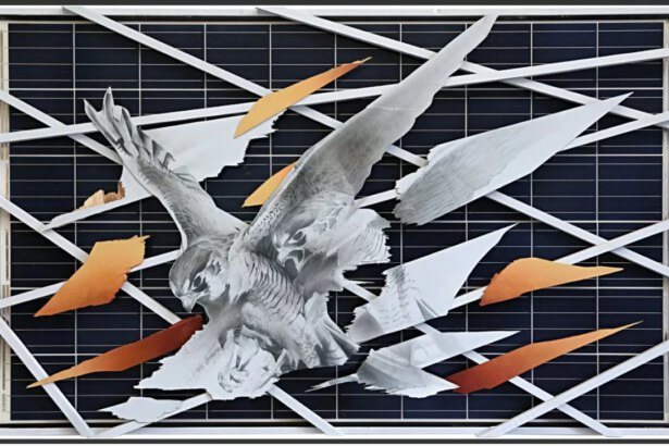 Come ti riciclo i pannelli con l'arte fotovoltaica 17