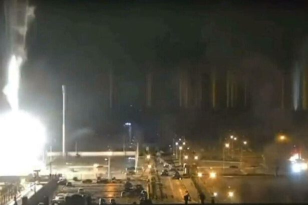 Attaccata nella notte la centrale nucleare di Zaporizhzhia: “Se c'è un'esplosione è la fine dell'Europa” 15