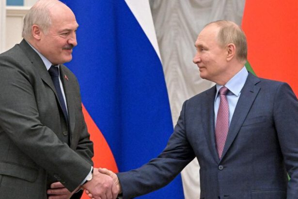 Bielorussia in guerra contro l'Ucraina: quanto è realistica l'ipotesi della Nato 19