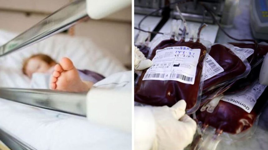 Bimbo deve essere operato al cuore, i genitori: “Vogliamo solo sangue no vax” 2 Bimbo deve essere operato al cuore, i genitori: “Vogliamo solo sangue no vax” 1