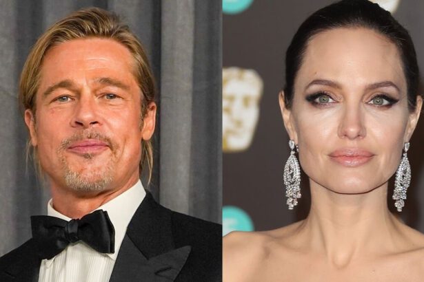 Brad Pitt ottiene l’affidamento congiunto dei figli ma Angelina Jolie non si arrende e continua la battaglia legale 14