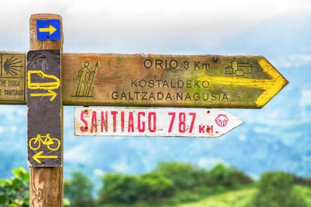 Cammino di Santiago di Compostela: come, dove, quando, quanto e perché 6