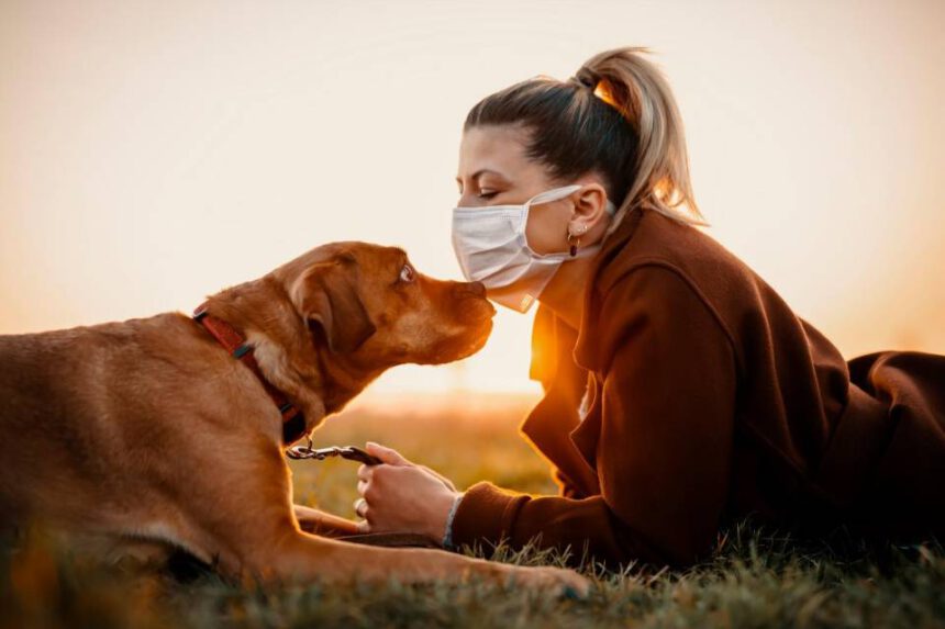 Cani anti-Covid, fiutano il virus prima (e meglio) dei tamponi: ecco come 1