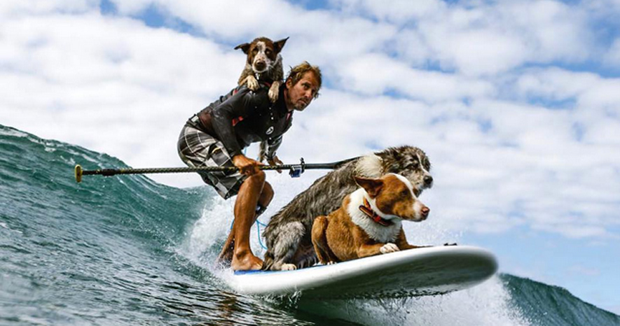 Mollo tutto per fare il collaudatore di letti: 8 professioni insolite che esistono davvero 9