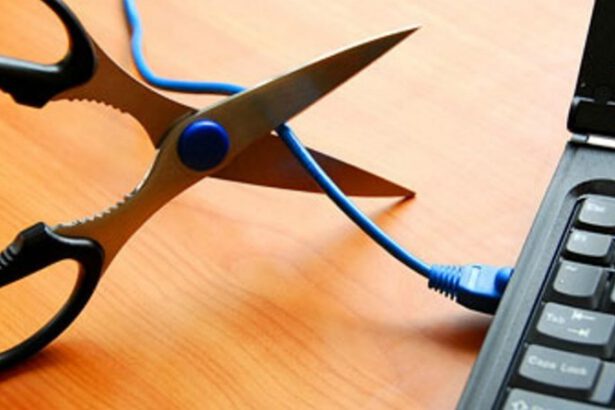 Smart working, diritto alla disconnessione: verso la normativa europea 13