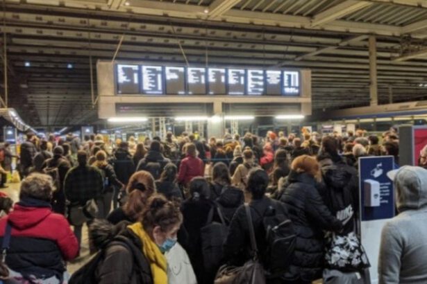 Il Covid è mutato in UK ed è esodo - Allerta in Italia 15