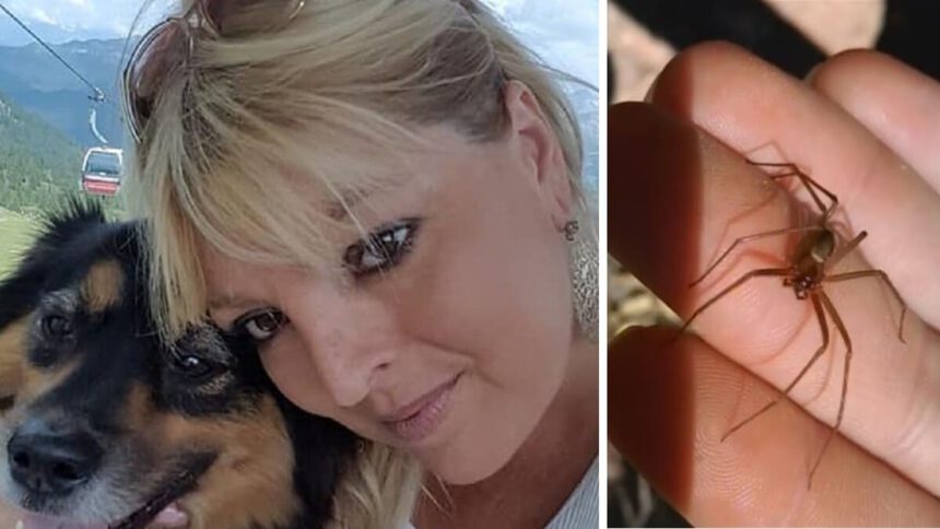 Cristina Calzoni uccisa dal ragno violino: cosa non torna sulla sua morte? 2 Cristina Calzoni uccisa dal ragno violino: cosa non torna sulla sua morte? 1