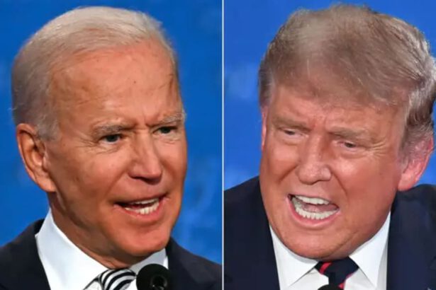 Elezioni USA 2020 - Ci siamo quasi, Trump e Biden sul filo del rasoio 7