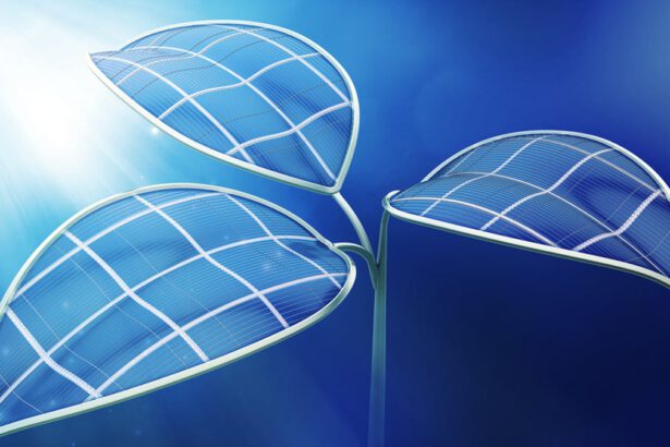 Fotosintesi artificiale e coltivazioni sostenibili: le applicazioni future del fotovoltaico 12