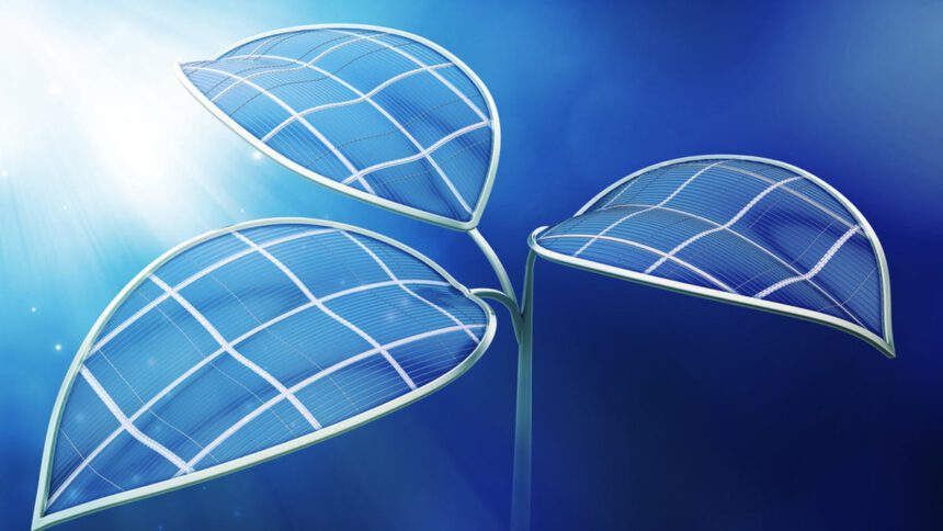 Fotosintesi artificiale e coltivazioni sostenibili: le applicazioni future del fotovoltaico 2 Fotosintesi artificiale e coltivazioni sostenibili: le applicazioni future del fotovoltaico 1