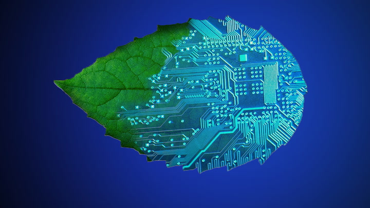 Fotosintesi artificiale e coltivazioni sostenibili: le applicazioni future del fotovoltaico 3 Fotosintesi artificiale