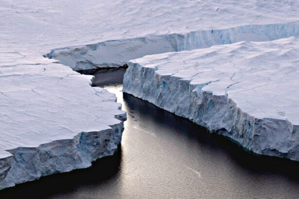 Nella Giornata Mondiale della Natura in Antartide si stacca un iceberg grande come Roma 13