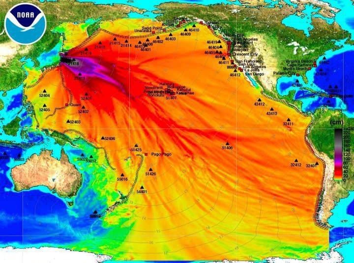 Fukushima, 10 anni fa la tragedia. Quanto costa un disastro nucleare? 3