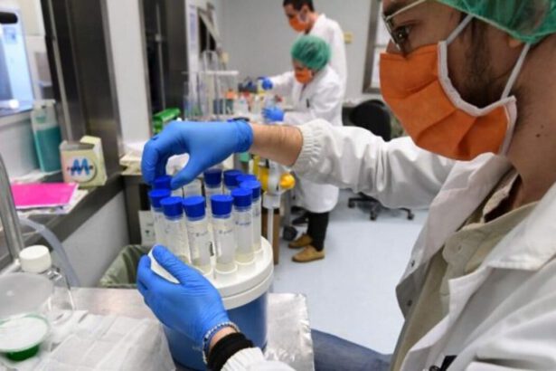 Scoperto un composto naturale che intrappola il Covid: "Un'ulteriore terapia per trattare il virus" 11