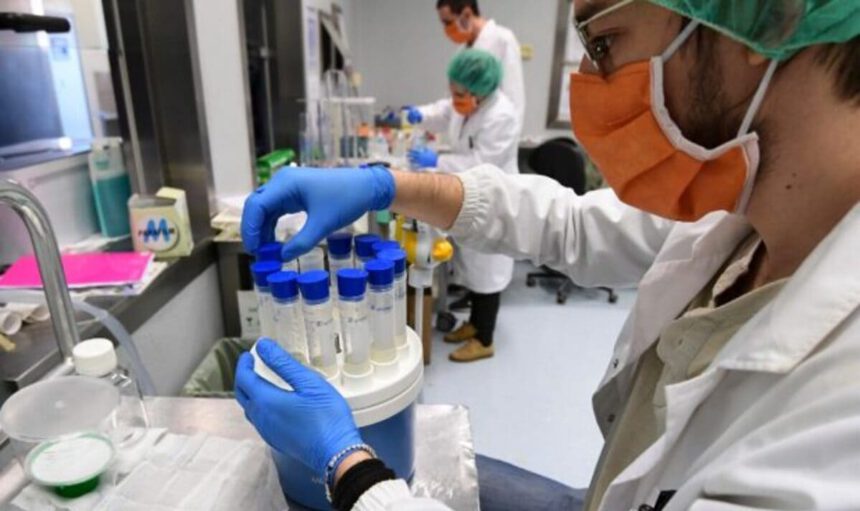 Scoperto un composto naturale che intrappola il Covid: "Un'ulteriore terapia per trattare il virus" 1