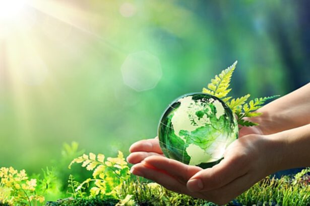 Giornata mondiale dell’ambiente: salviamolo con il fotovoltaico 14