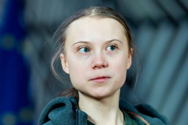 Greta al Foro Economico Mondiale: "Non sono qui per fare affari" 17