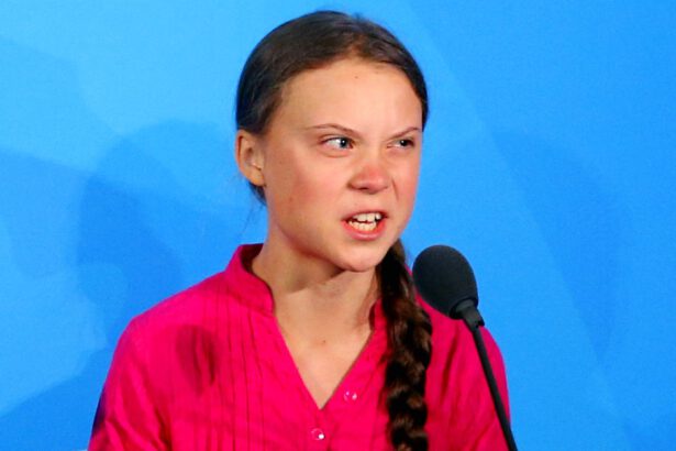 “Mi avete rubato i sogni e l’infanzia”, le accuse di Greta Thunberg al vertice ONU 17
