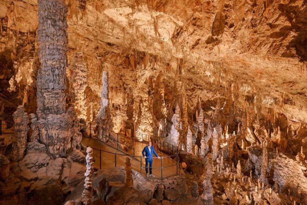 Grotte di Postumia, la tana del drago 7