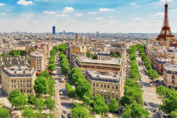 Futuro verde di Parigi, un esempio per il mondo 6