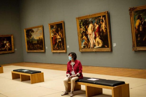 Musei in crisi, dall'Egizio il grido di rivalsa: "Devono riuscire a conquistare un posto di rilievo" 12