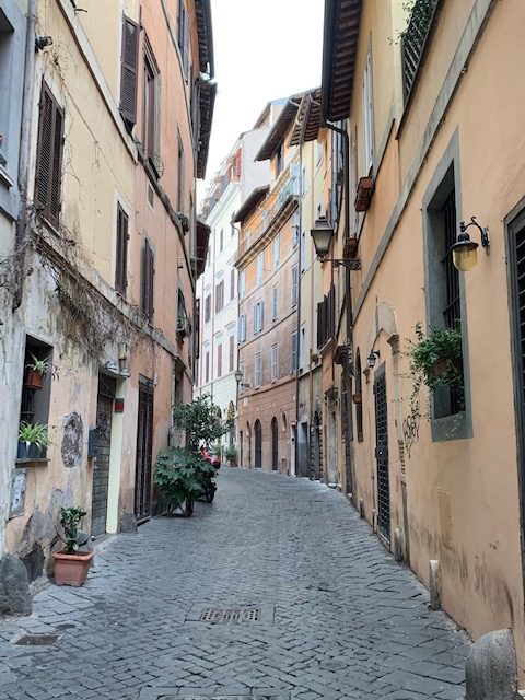 Il Natale spettrale di Roma, ci sono solo i gabbiani 8 Il Natale spettrale di Roma, ci sono solo i gabbiani 7