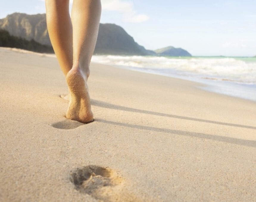 Impronta ecologica, come alleggerire l'impatto della nostra vita sulla natura 1