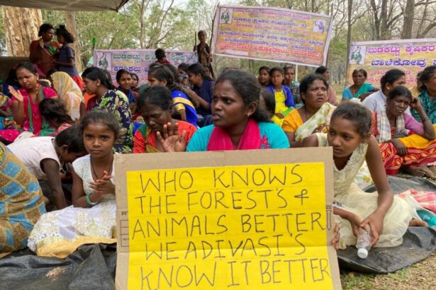 India, la comunità Jenu Kuruba sfrattata dalla riserva delle tigri: "Chi conosce la foresta meglio di noi?" 14